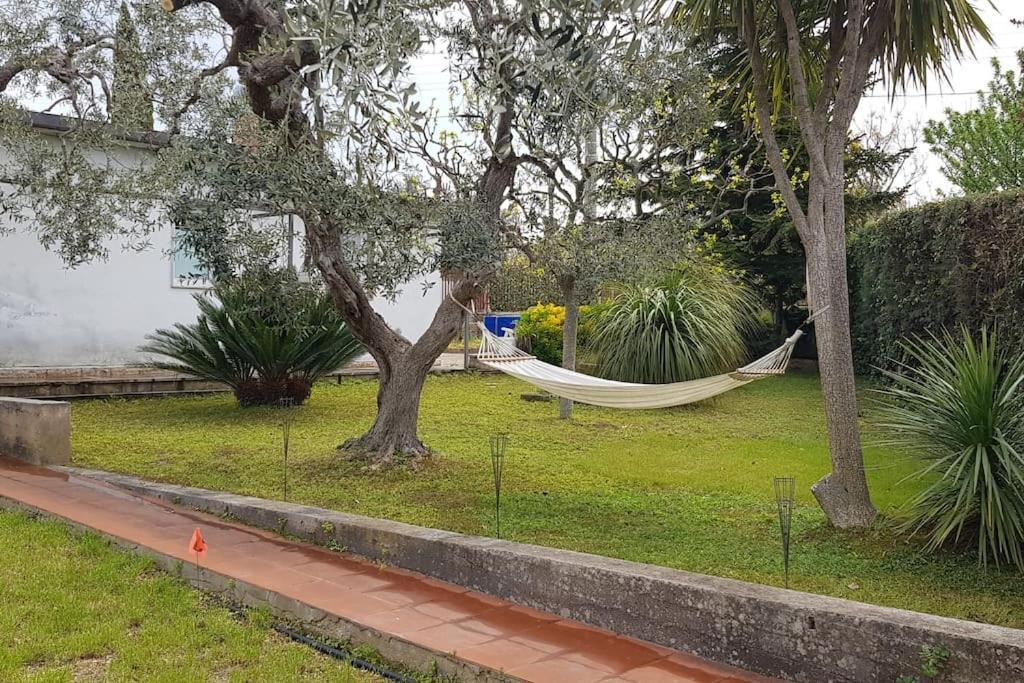 Countryhouse Gli Ulivi Modugno Εξωτερικό φωτογραφία