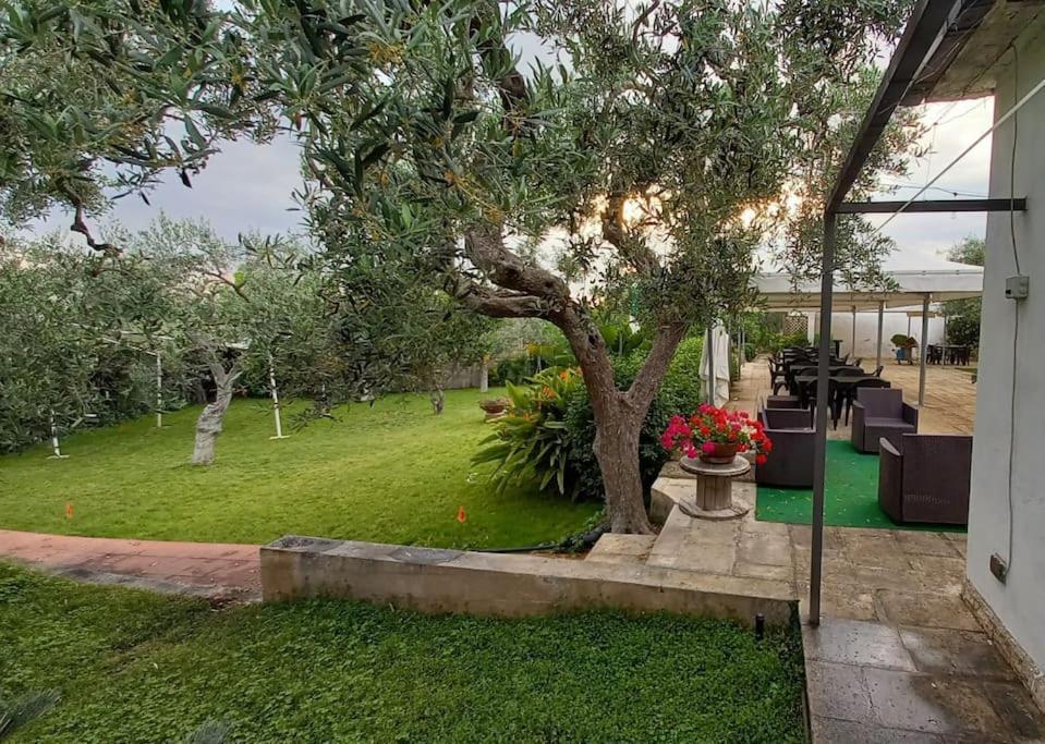Countryhouse Gli Ulivi Modugno Εξωτερικό φωτογραφία