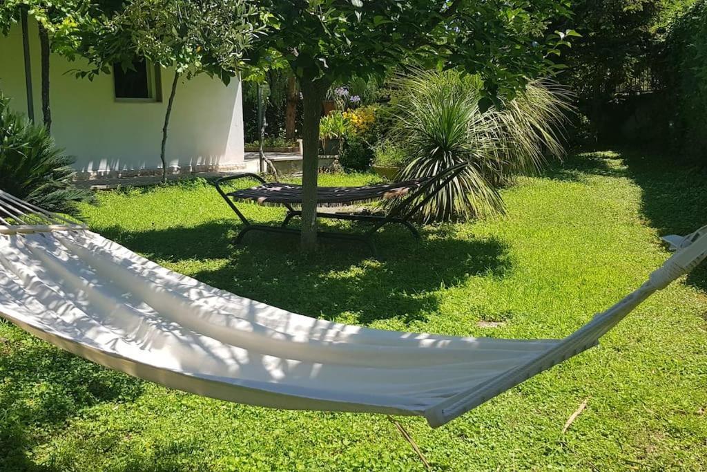 Countryhouse Gli Ulivi Modugno Εξωτερικό φωτογραφία