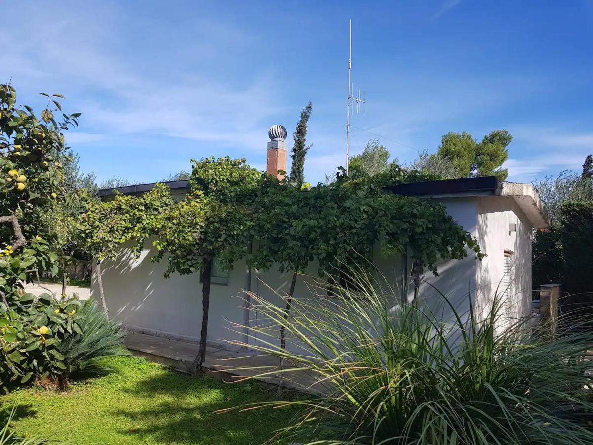 Countryhouse Gli Ulivi Modugno Εξωτερικό φωτογραφία