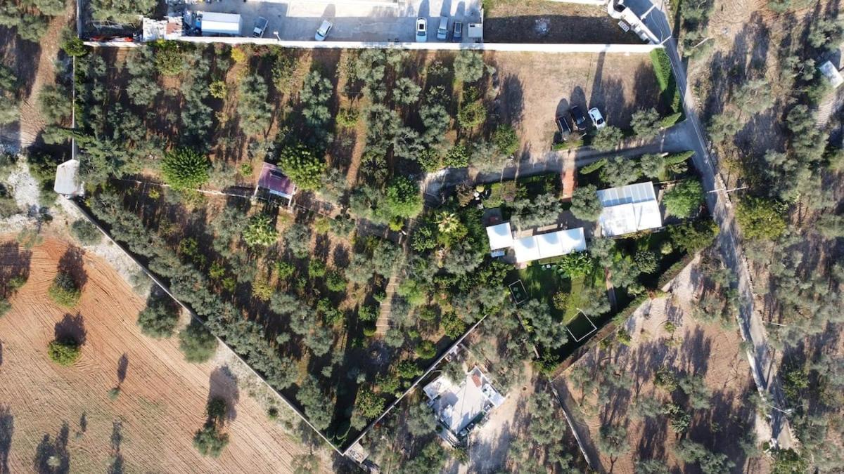 Countryhouse Gli Ulivi Modugno Εξωτερικό φωτογραφία