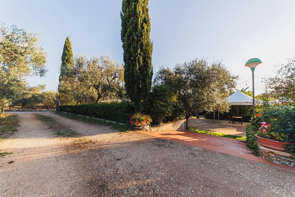 Countryhouse Gli Ulivi Modugno Εξωτερικό φωτογραφία