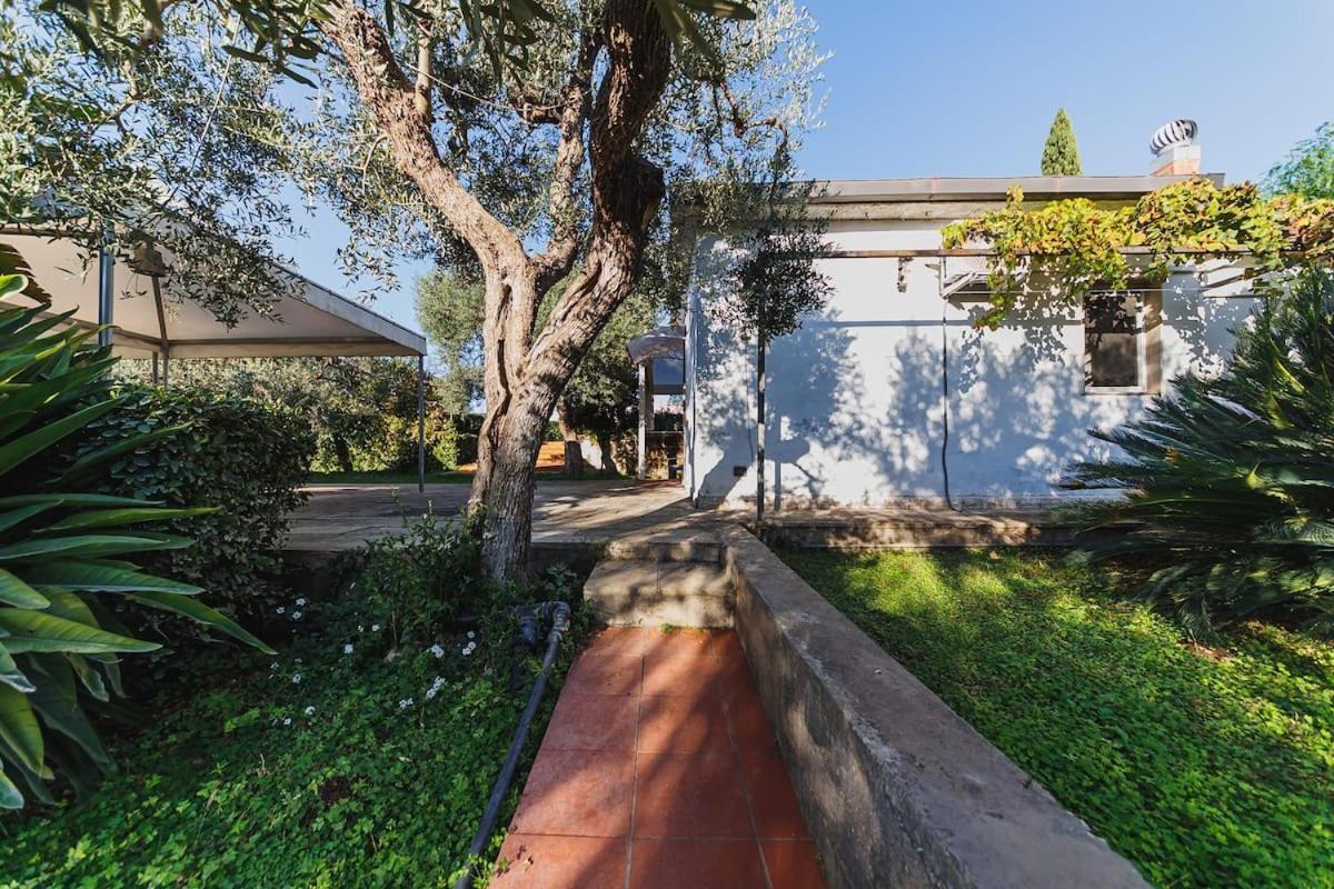 Countryhouse Gli Ulivi Modugno Εξωτερικό φωτογραφία