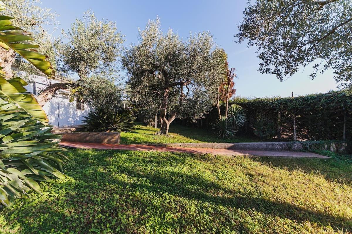 Countryhouse Gli Ulivi Modugno Εξωτερικό φωτογραφία